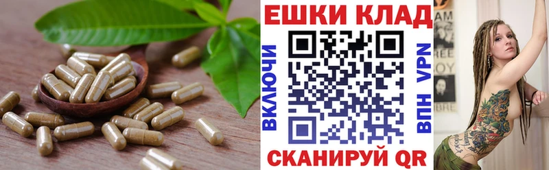 Ecstasy диски  наркота  Боровичи 