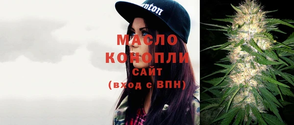 гидра Богородск