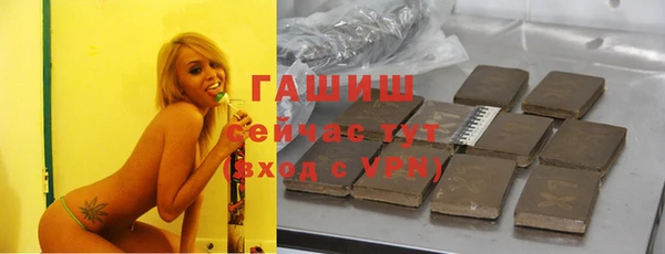 гидра Богородск