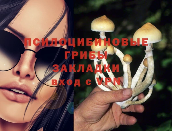 ПСИЛОЦИБИНОВЫЕ ГРИБЫ Богородицк